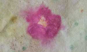 oltre il giardino foto