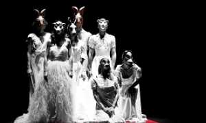 orfeoventigennaio bis 270