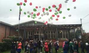 pettenasco 4novembre post