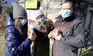 pettenasco benedizione 1