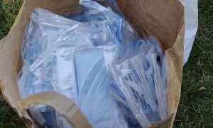 pettenasco mascherine