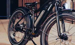 pexels erik mclean 8936917