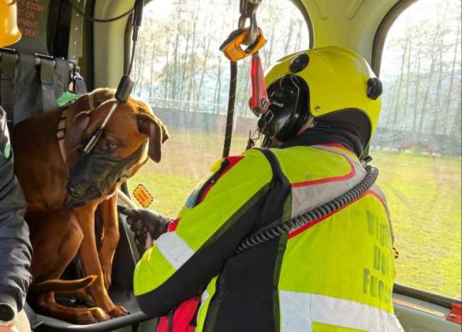 photo 2024 12 17 16 09 21