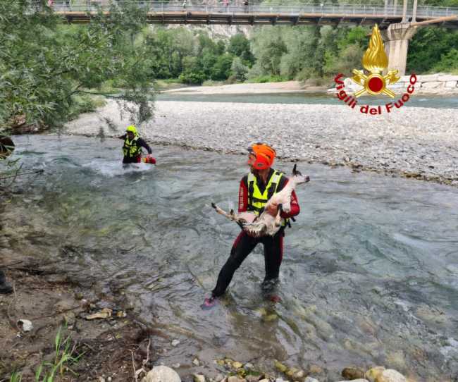 photo 2025 05 19 19 20 17