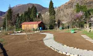 pro senectute omegna