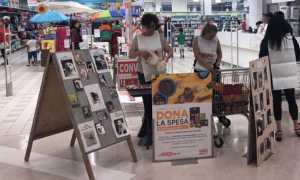 raccolta pro animali