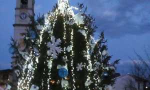 received 687662821621716