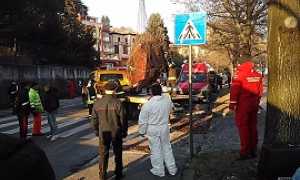 restiumani 9gennaio270