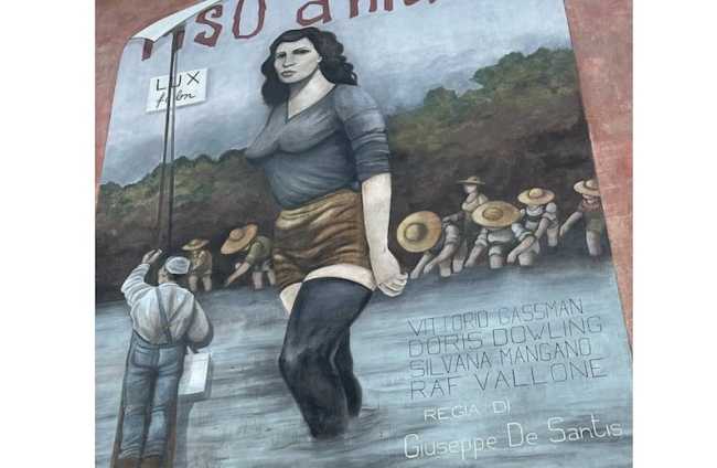 riso amaro restaurato