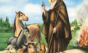 sant antonio abate animali270