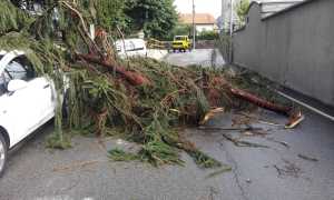 temporale pettenasco