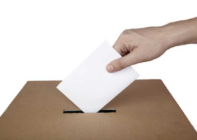 urna elettorale foto