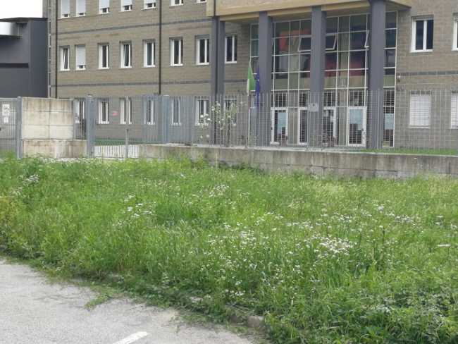 verde pubblico omegna