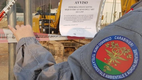 sequestro forestale