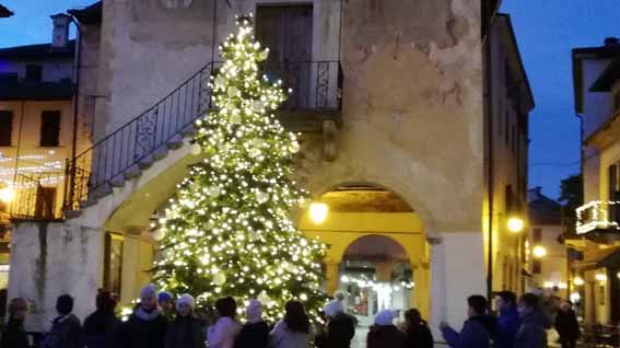 orta natale
