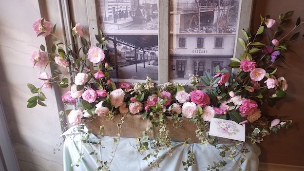 gozzano camelia 1 2023