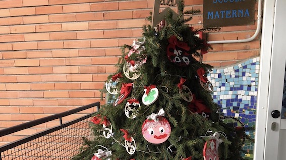 pettenasco albero materna peg