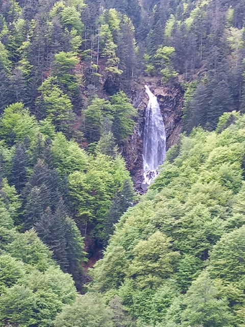 38983447 dc4f 49c1 b0e2 ee4ed7fa3da2