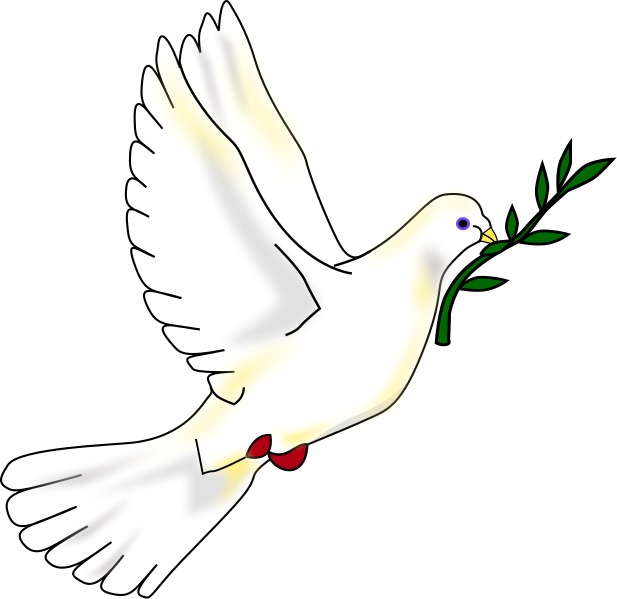 617px Peace dove