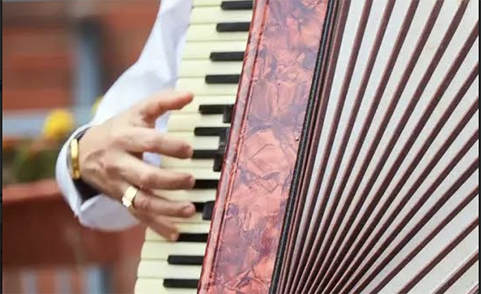 Concerto del fisarmonicista Antonio Disabato nel giardino della Parrocchiale