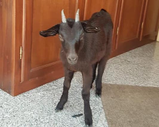 233442623 878084509804638 3182340404368251142 n