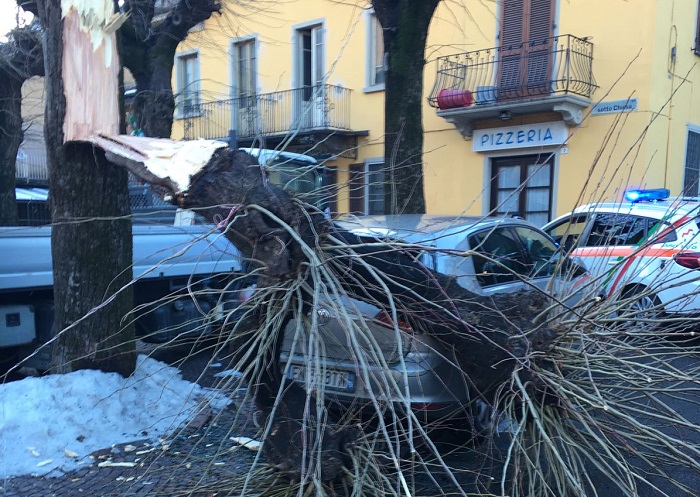 Uomo ferito a Crusinallo per un albero spezzato