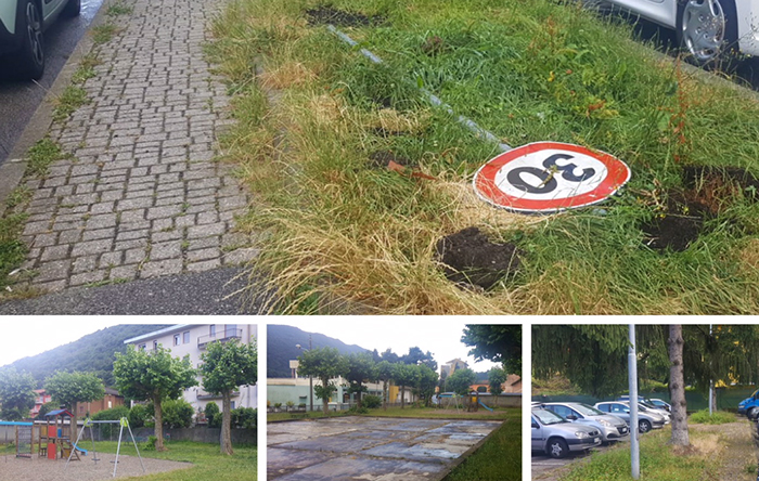 Erbacce e segnaletica. Lamentele "social" dei residenti a Crusinallo
