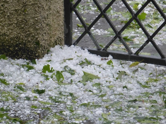 Meteo: pioggia, grandine, alberi abbattuti in tutto il Novarese