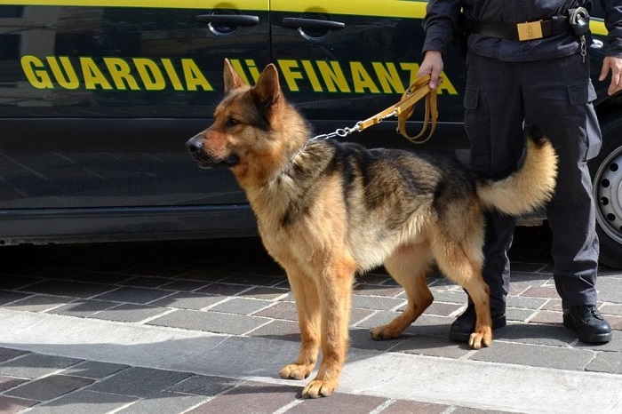 Fiamme Gialle e scuola insieme per il progetto "educazione alla legalità economica"