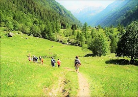 valformazzaPomatt270