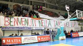 fulgor paffonipalasport