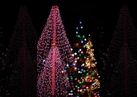 luminariePERGRAVELLONATOCE270