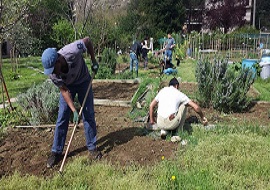 orti oasidellavita190