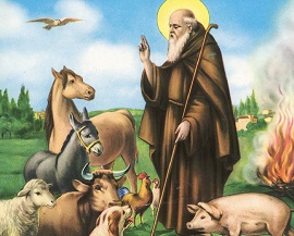 sant antonio abate animali270