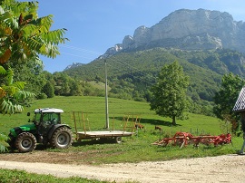 terrenoagricolomontano270