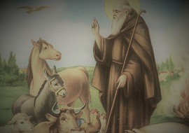 Sant Antonio Abate 270