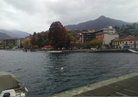 ciqnuestelle elezioni 270