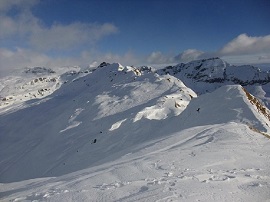 gitacai22 gennaio270