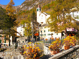 corta campello autunno 2008 01